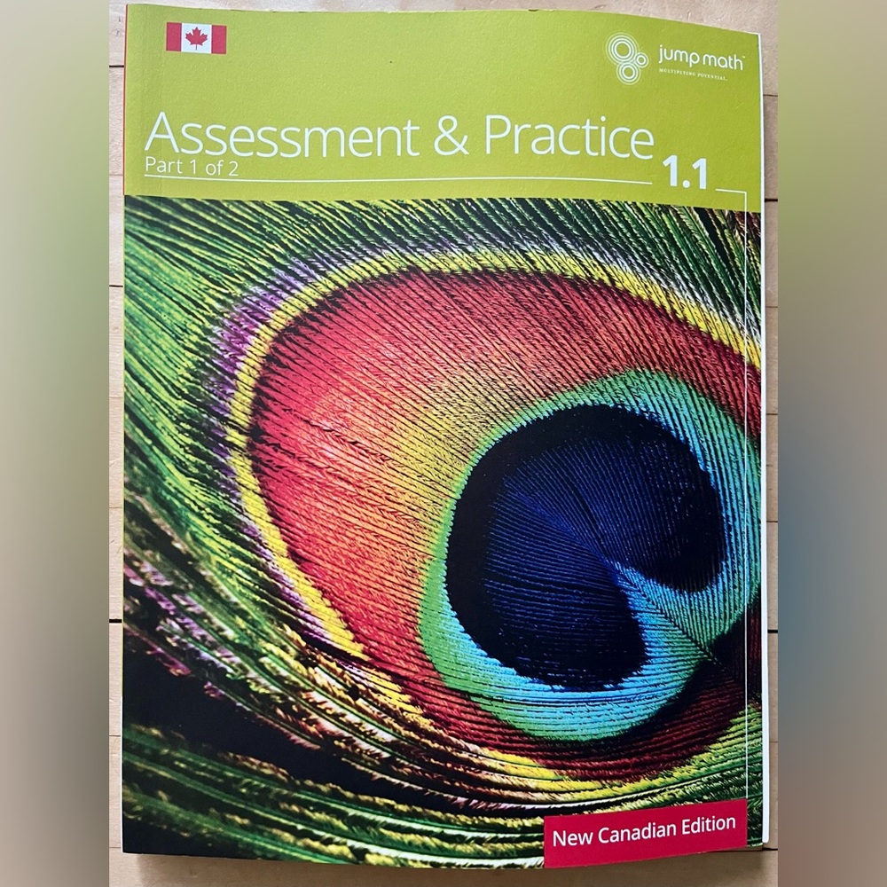 JUMP Math Grade 1 — Assessment & Practice 1.1